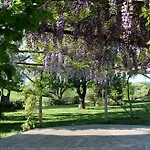 Argilaia - In With Pool Saturnia