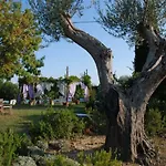 Argilaia - In With Pool Ferienhaus