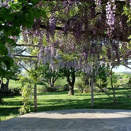 Argilaia - In With Pool Saturnia