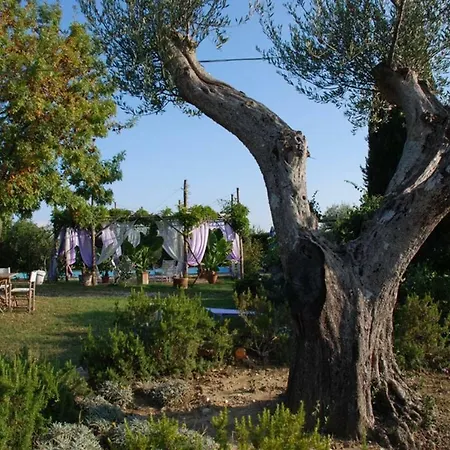 Argilaia - In With Pool Ferienhaus